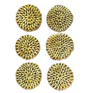 Set of Six Vintage Beige Sea Shell 5" to 6" Tiki Bar Trivet Coasters